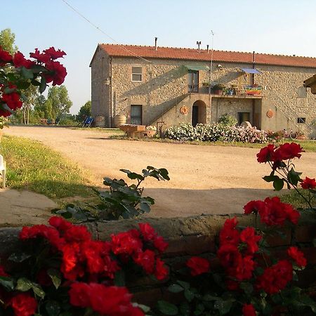 הוילה טלאמונה Agriturismo La Valentina Nuova מראה חיצוני תמונה