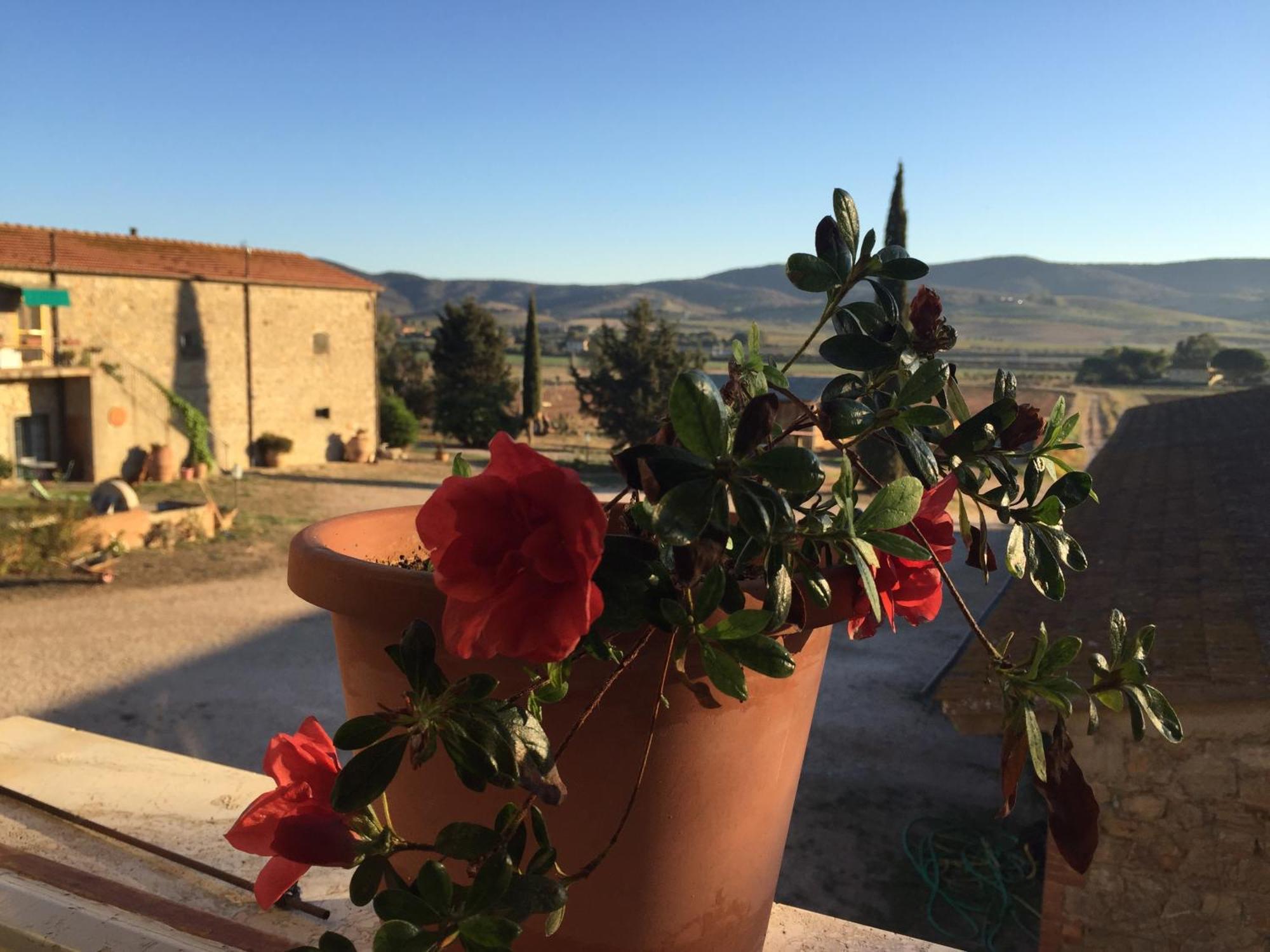 הוילה טלאמונה Agriturismo La Valentina Nuova מראה חיצוני תמונה