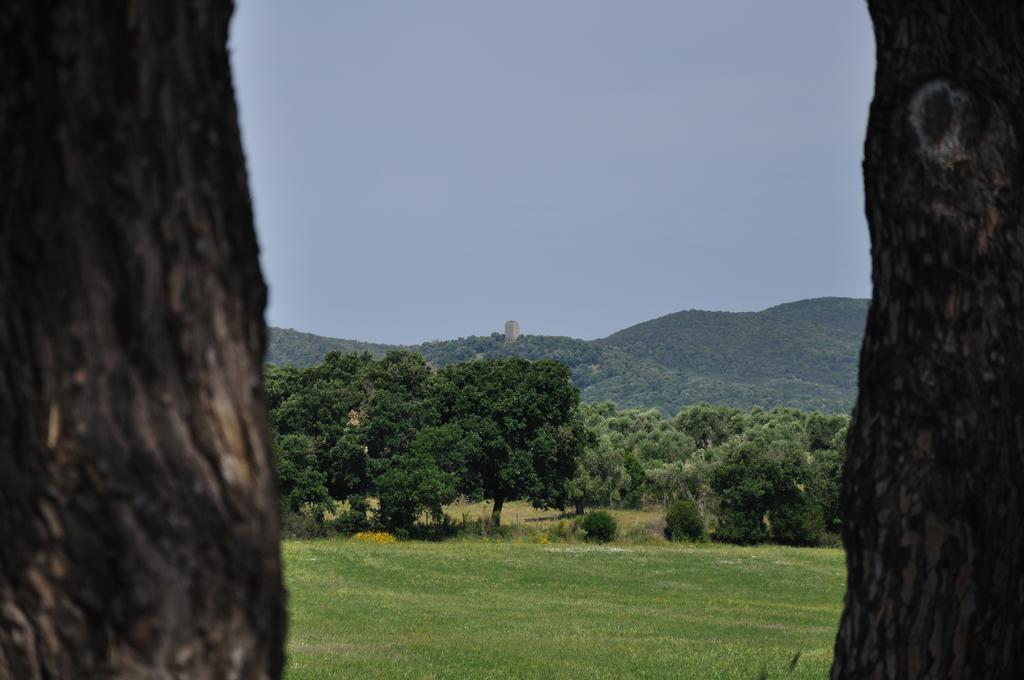 הוילה טלאמונה Agriturismo La Valentina Nuova מראה חיצוני תמונה