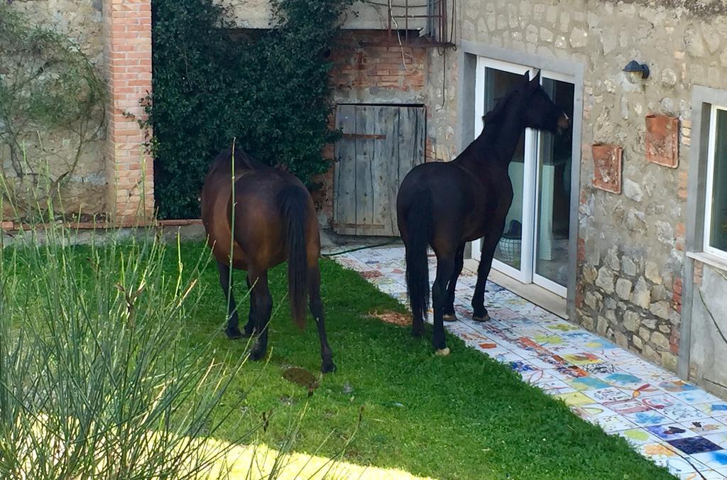 הוילה טלאמונה Agriturismo La Valentina Nuova מראה חיצוני תמונה