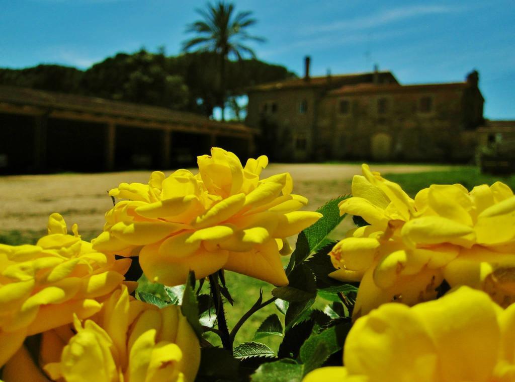 הוילה טלאמונה Agriturismo La Valentina Nuova מראה חיצוני תמונה