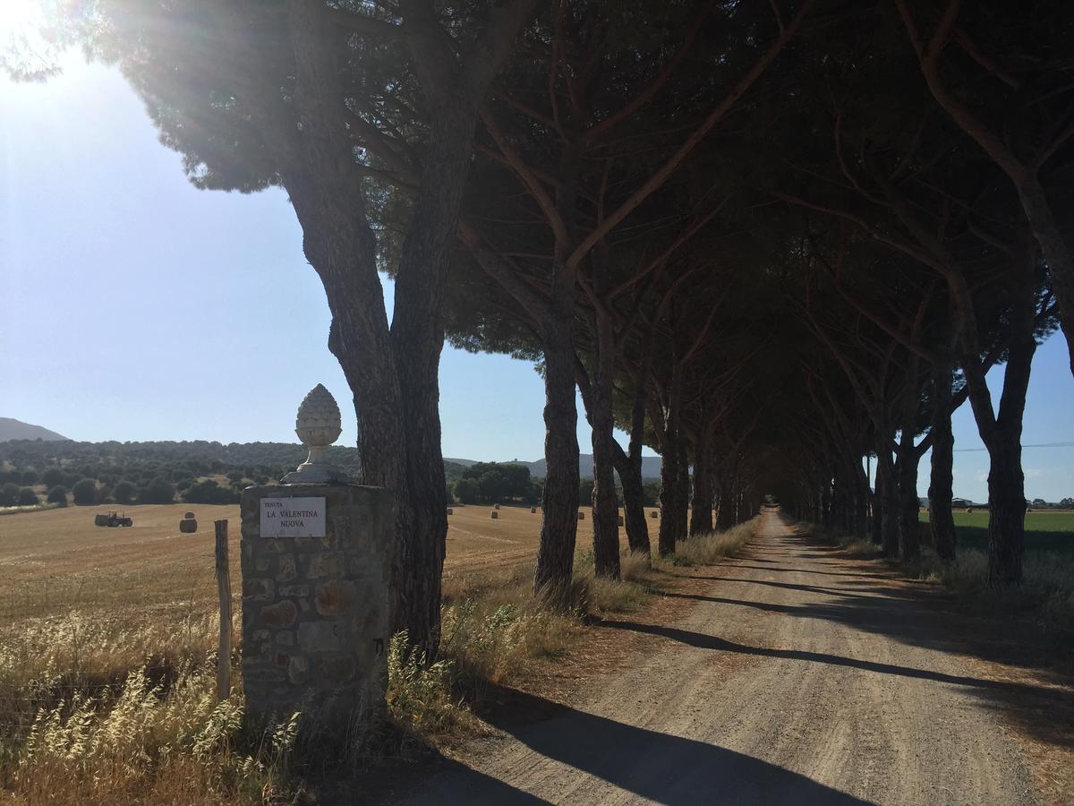 הוילה טלאמונה Agriturismo La Valentina Nuova מראה חיצוני תמונה