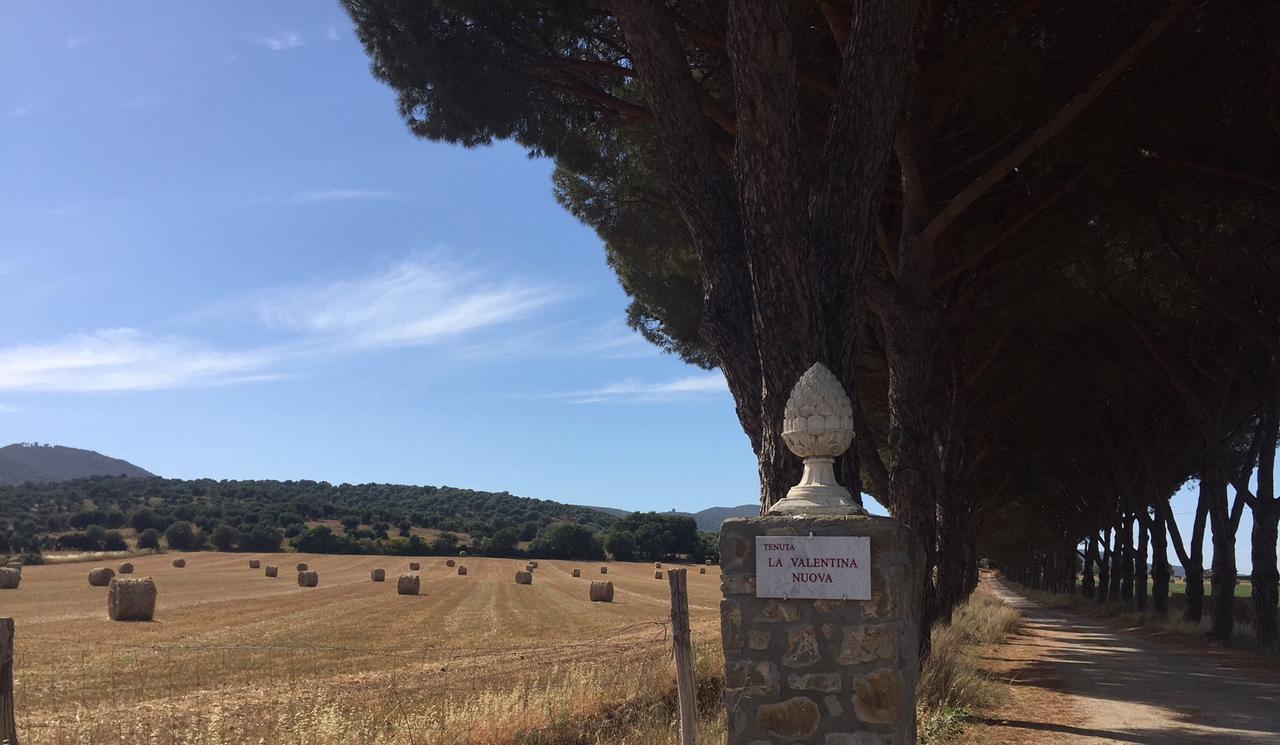 טלאמונה Agriturismo La Valentina Nuova מראה חיצוני תמונה