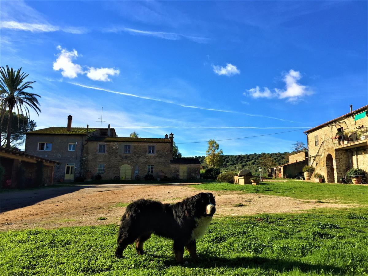 הוילה טלאמונה Agriturismo La Valentina Nuova מראה חיצוני תמונה