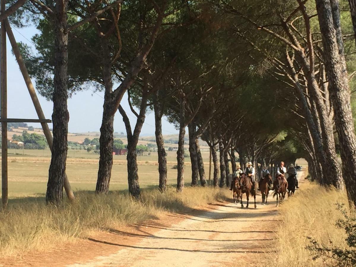 הוילה טלאמונה Agriturismo La Valentina Nuova מראה חיצוני תמונה