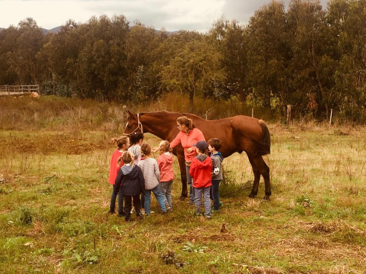 הוילה טלאמונה Agriturismo La Valentina Nuova מראה חיצוני תמונה